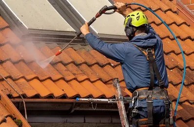 Démoussage et hydrofuge de toiture au Bois-Robert